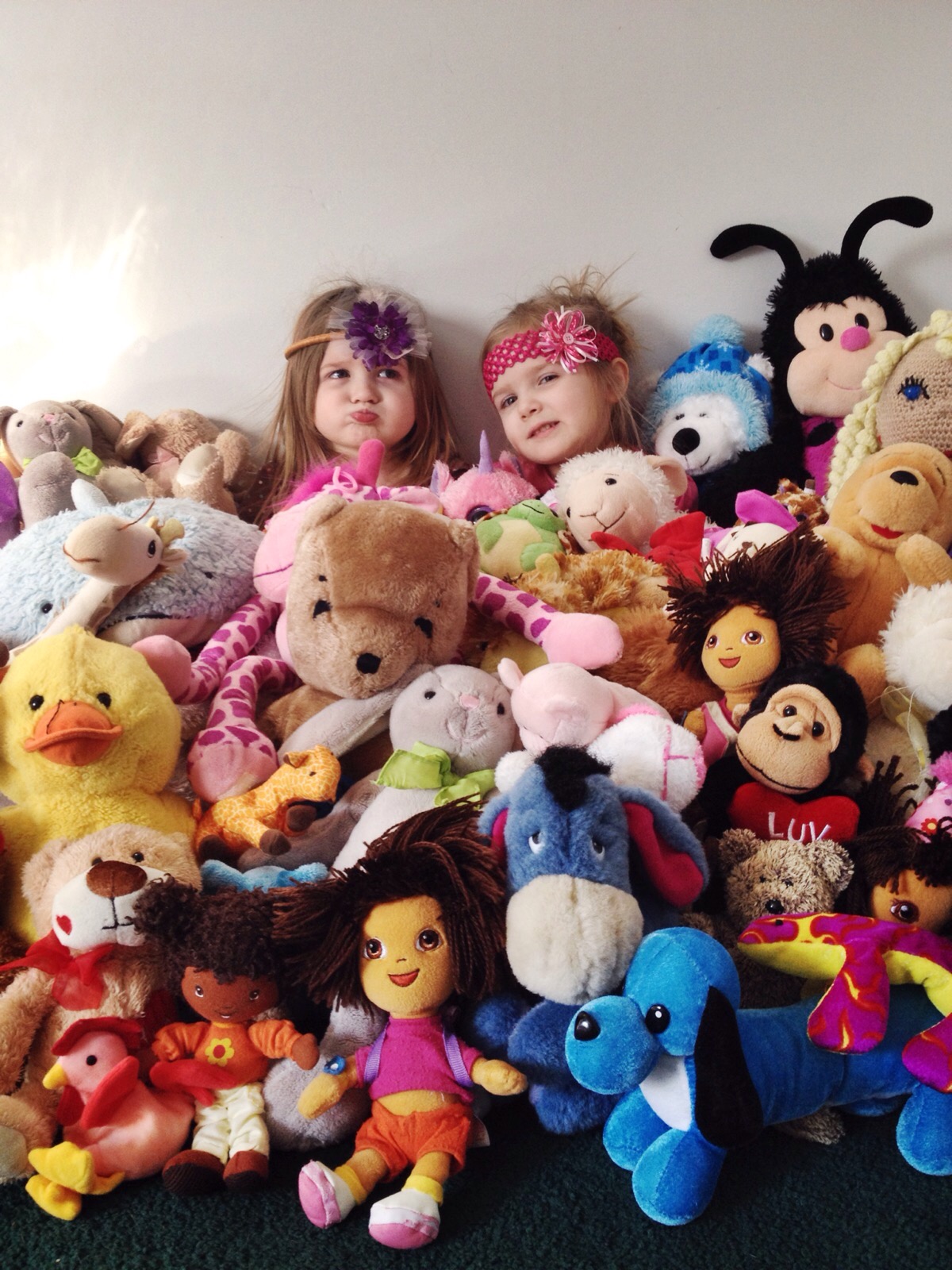Stuffed Animal Collection - Blissfully Insane