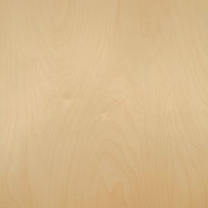 White birch wood veneer sample, rotary cut whole