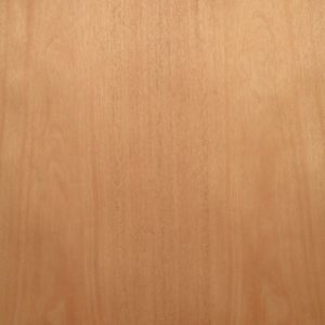 Maple wood veneer 48" x 120" with wood backer 4' x 10' x 1/25" thick A grade
