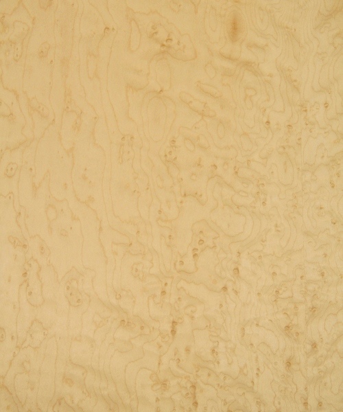 grade Details about   Birdseye Maple wood veneer 7" x 103" raw no backing 1/42" thickness AA