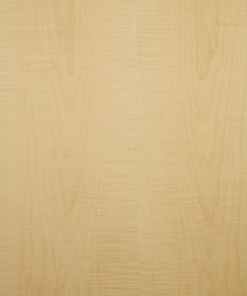 Curly maple wood veneer sample, medium figure