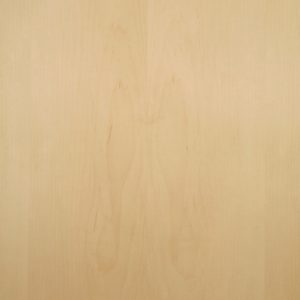 Maple wood veneer sample, flat cut