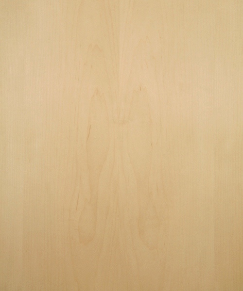 Maple wood veneer sample, flat cut